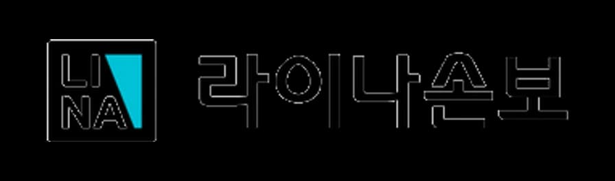 라이나손해보험
